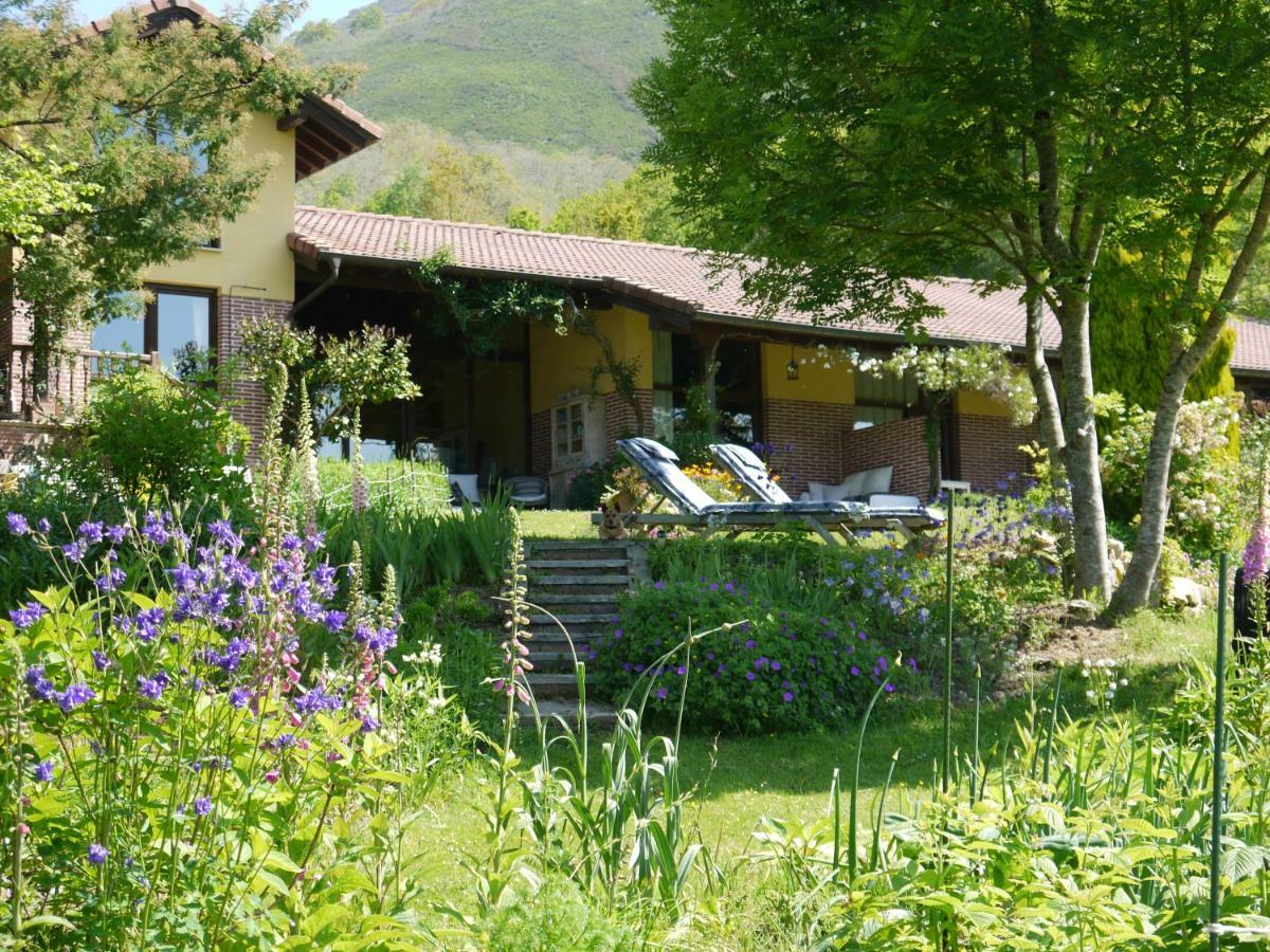 Apartamentos Rurales Rincon De San Martin Grazanes Eksteriør bilde