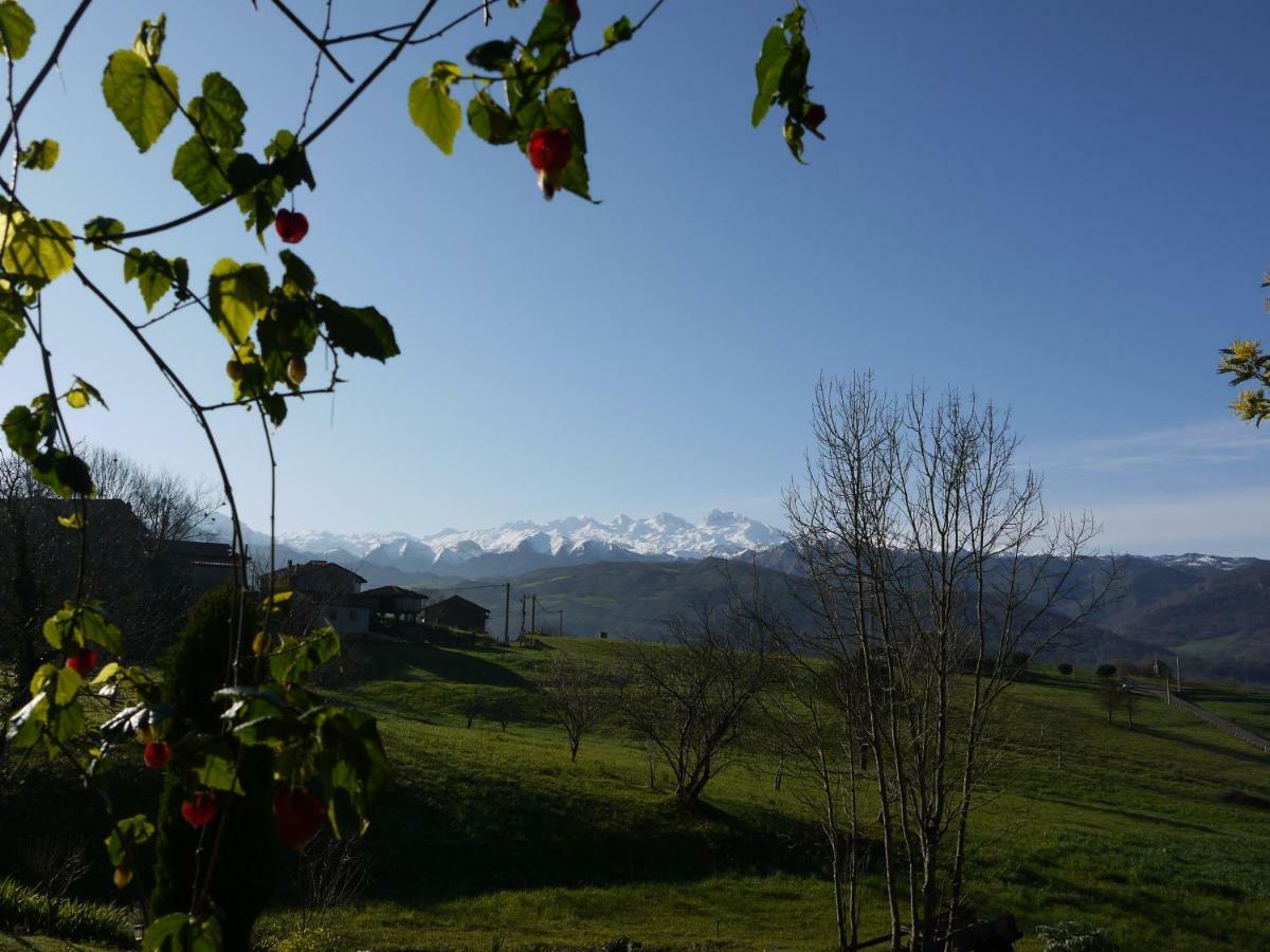 Apartamentos Rurales Rincon De San Martin Grazanes Eksteriør bilde