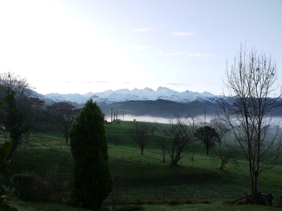 Apartamentos Rurales Rincon De San Martin Grazanes Eksteriør bilde